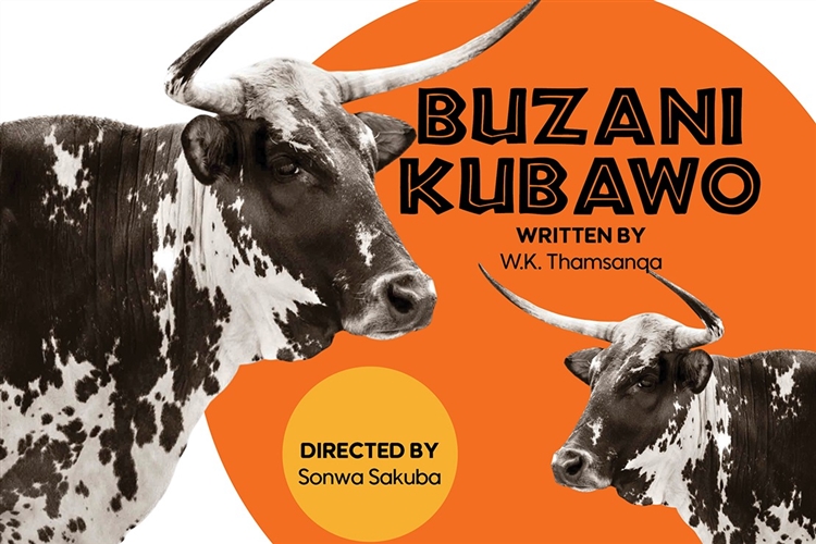 Buzani Kubawo - EL